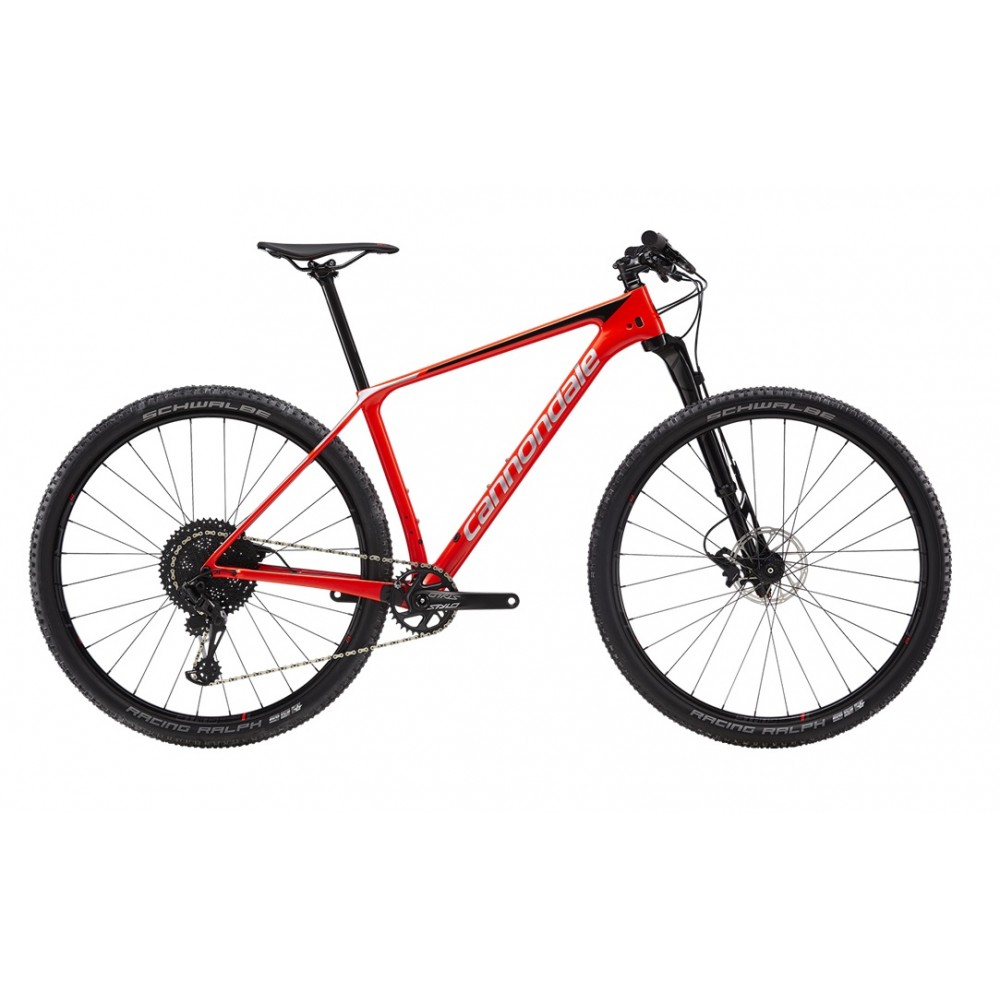 mtb 29 2019