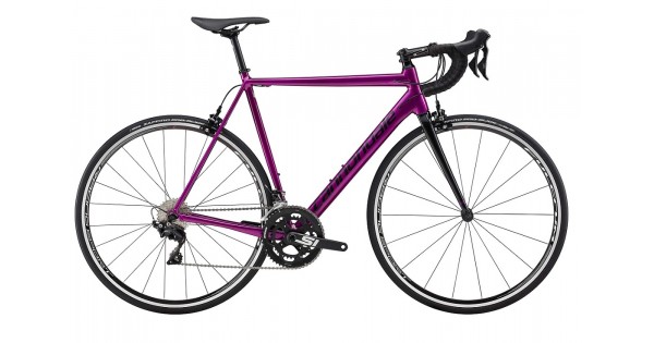 caad12 ultegra purple