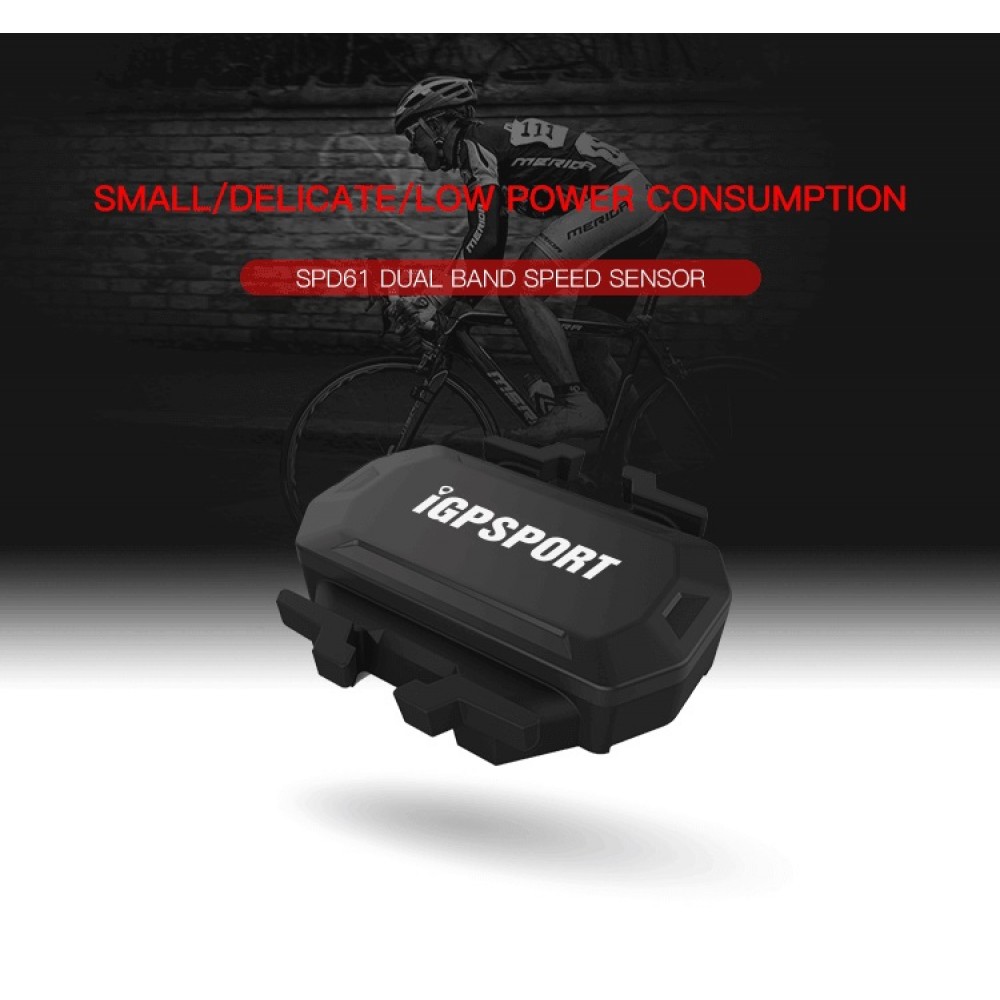 Igpsport speed sensor new arrivals