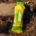 Leap Perfomance Booster & Recovery Energy Gel Ginger Flavour (Pack Of 2)
