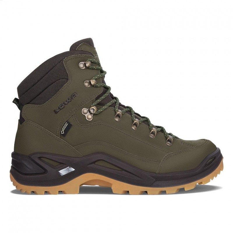 Lowa Renegade GTX Mid Hiking shoe (Forest/Dark Brown)