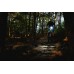 Magicshine RAY 2600 Bicycle Front Light (2600 Lumens)