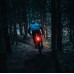 Magicshine SEEMEE 100 Bicycle Tail Light (100 Lumens)