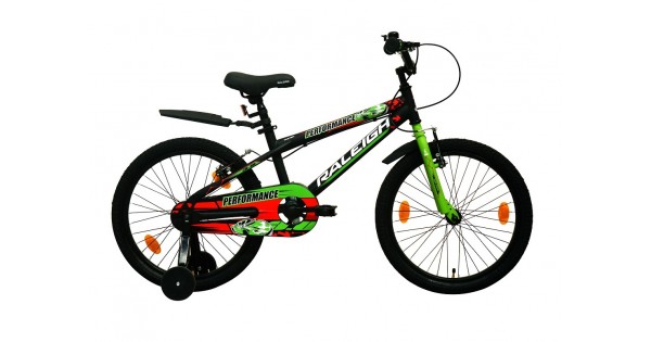 raleigh performance 16