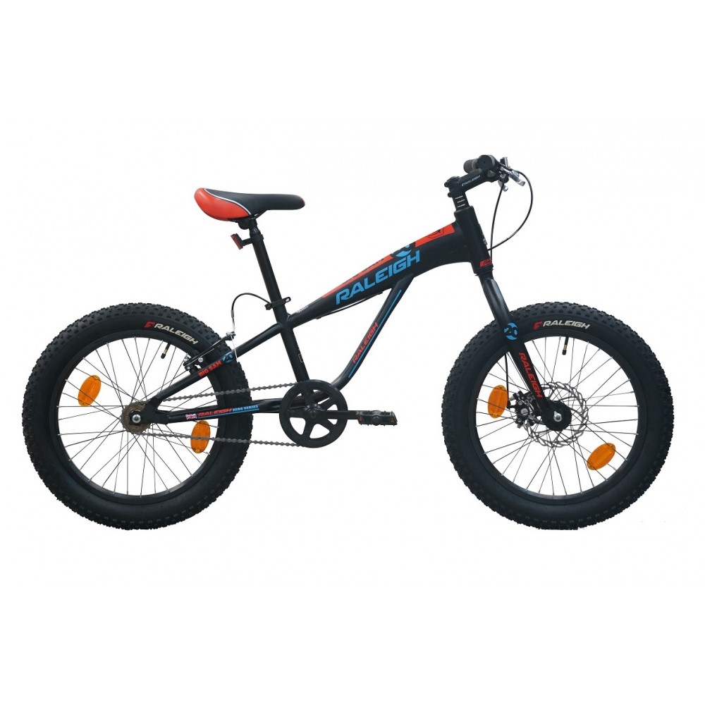 raleigh big sam fat bike price