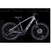 Reliance Astra Carbonite E-Bike Black Silver