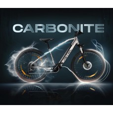 Reliance Astra Carbonite E-Bike Black Silver