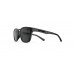 Tifosi Smirk Glasses (Blackout Smoke Lenses)