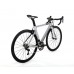 Twitter Thunder Carbon Road Bike Silver