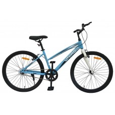 Stores that discount sell kids bikes